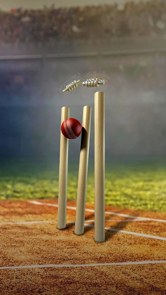 Cricket Image