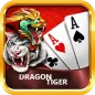 Dragon & Tiger Icon