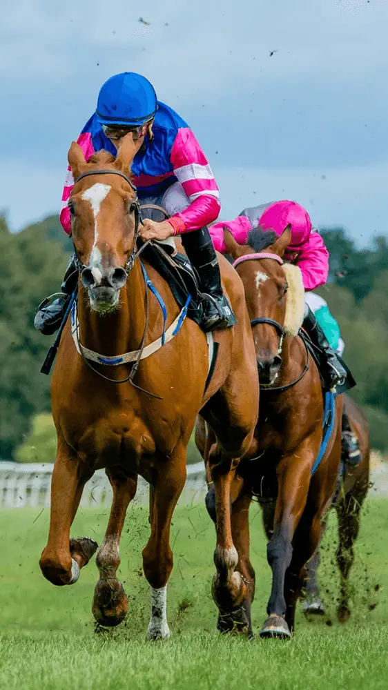 Horse Racing Image